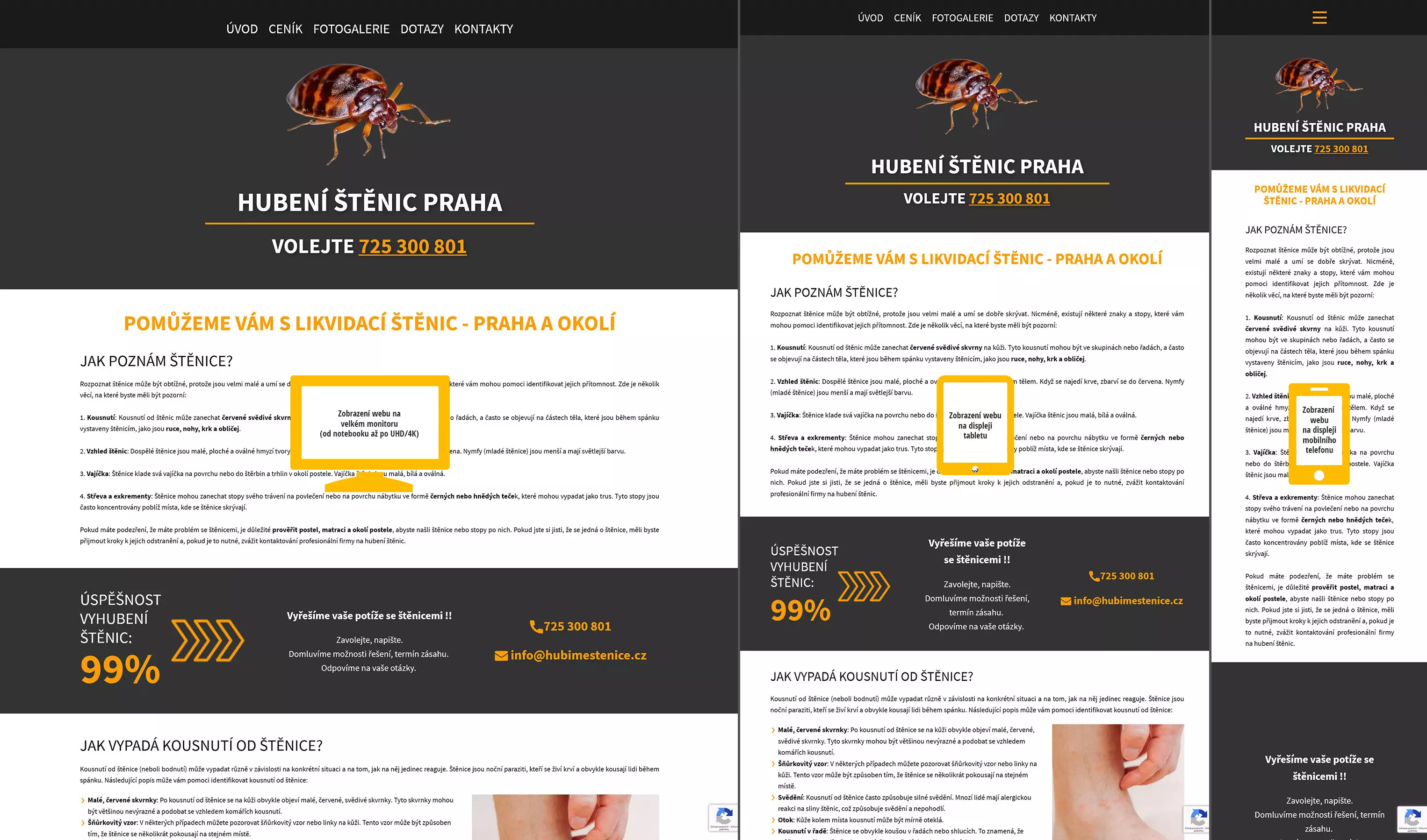 ukázka webu